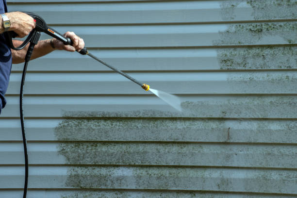 Best Sidewalk and Walkway Cleaning  in St Anne, IL