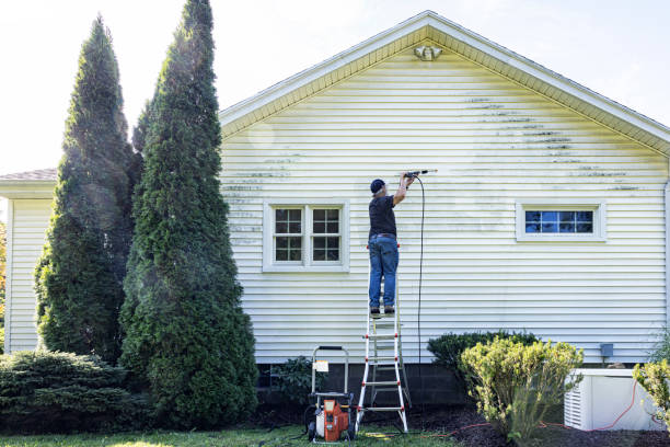 Best Building Exterior Washing  in St Anne, IL